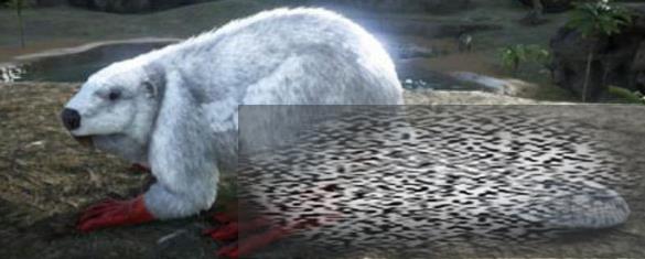 ξ޺ʲô ξ޺ָ