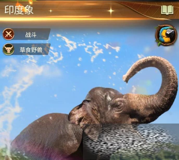 Ұӡô ӡǿһ
