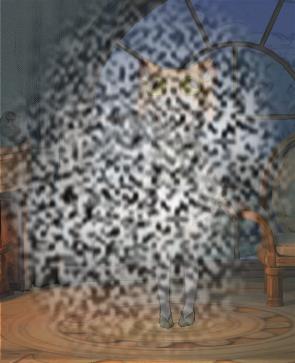ɭ֮ʱװЩ ɭ֮ʱװһ