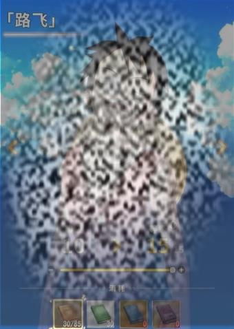 ָʲô淨 ָ淨