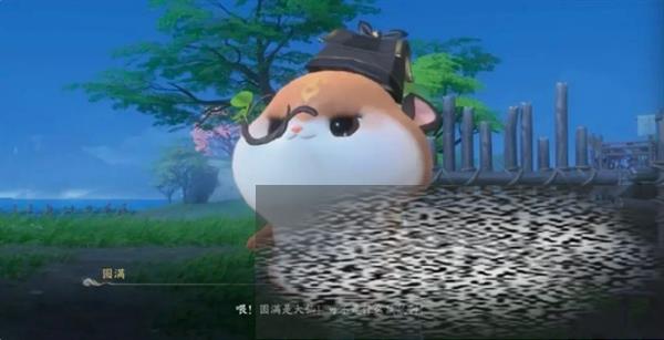 ɽС ɽС鹥