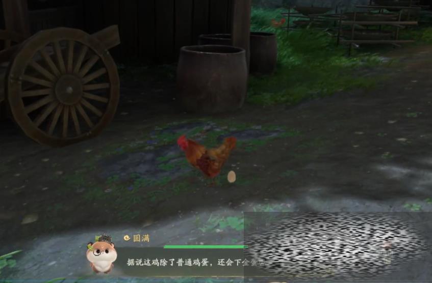 ɽ绯ô ɽ绯淨