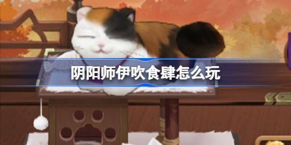 ʦʳô ʦʳ