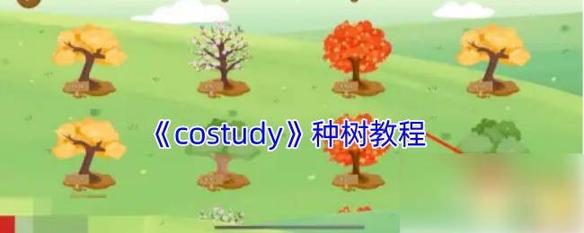 costudyô costudy̳