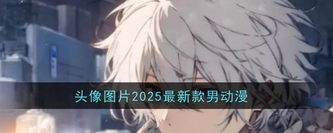 ͷͼƬ2025¿жʲô ͷһ
